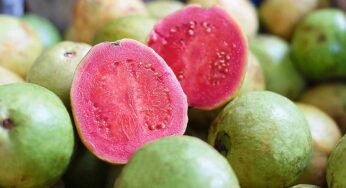 Pink Color Guava Benefits : పింక్ రంగు జామ‌కాయ‌ల‌ను తిన‌డం వ‌ల్ల ఇన్ని లాభాలా.. తెలిస్తే విడిచిపెట్ట‌రు..!