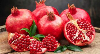 Pomegranate Facts : దానిమ్మ పండ్ల‌ను అంత తేలిగ్గా తీసిపారేయ‌కండి.. ఇవి నిజంగా బంగారంతో స‌మానం..!