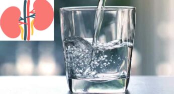 Drinking Water and Kidneys : నీళ్ల‌ను ఎక్కువ‌గా తాగుతున్నారా.. అయితే కిడ్నీల‌పై ఎలాంటి ప్ర‌భావం చూపిస్తుందో తెలుసా..?