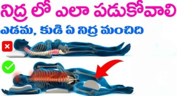 Sleep Direction : నిద్ర‌లో ఎలా ప‌డుకోవాలి.. కుడి నిద్ర లేదా ఎడ‌మ నిద్ర‌..?