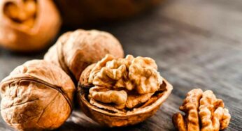 Soaked Walnuts : రోజూ వీటిని గుప్పెడు నాన‌బెట్టి తింటే ఏం జ‌రుగుతుందో తెలుసా..?