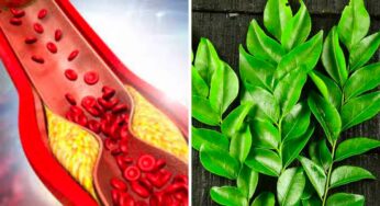 Curry Leaves For Cholesterol : రోజూ 5 ఆకులు చాలు.. ర‌క్తనాళాల్లో ఉండే కొవ్వు మొత్తం క‌డిగేసిన‌ట్లు క్లీన్ అవుతుంది..!