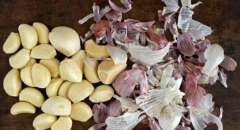 Garlic Peels : ఈ విష‌యం తెలిస్తే ఇకపై వెల్లుల్లి పొట్టును ప‌డేయ‌రు..!