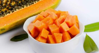 Papaya On Empty Stomach : రోజూ ఖాళీ క‌డుపుతో బొప్పాయి పండును తింటే క‌లిగే 10 అద్భుత‌మైన ప్ర‌యోజ‌నాలు ఇవే..!