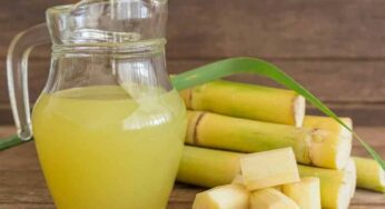 Sugar Cane Juice : ద‌య‌చేసి ఇలాంటి వ్యాధులు ఉన్న‌వారు మాత్రం చెరుకు ర‌సంను చచ్చినా తాగ‌కండి..!