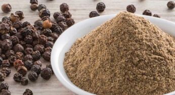 Black Pepper Powder : మిరియాల పొడిని మీరు తినే ఆహారంపై చ‌ల్లి తింటే ఎంత ఆరోగ్య‌మో తెలుసా..?