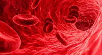 Blood Cleaning Foods : ఈ ఆహారాల‌ను రోజూ తింటే చాలు.. మీ ర‌క్తం నాచుర‌ల్‌గా క్లీన్ అవుతుంది..!