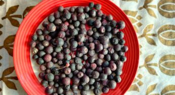 Falsa Health Benefits : వేస‌విలో ఎండ‌దెబ్బ త‌గ‌ల‌కుండా ఉండేందుకు, వేడి తగ్గేందుకు వీటిని తినండి..!