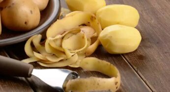 Potato Peel Health Benefits : ఆలుగ‌డ్డ‌ల మీద పొట్టు తీసి ప‌డేస్తున్నారా.. అయితే మీరు ఈ లాభాల‌ను కోల్పోతున్న‌ట్లే..!