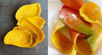 Mango Peels : మామిడిపండు తొక్క‌ల‌తో ఇన్ని ఉప‌యోగాలు ఉన్నాయా.. ఇవి తెలిస్తే ఇక‌పై ప‌డేయ‌రు..!