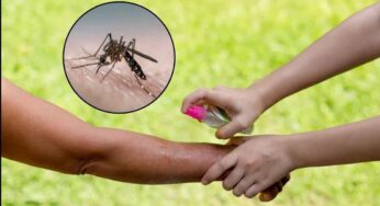 Natural Mosquito Repellents : వ‌ర్షాకాలం వ‌చ్చేసింది.. దోమ‌ల‌ను త‌రిమేందుకు ఈ నాచుర‌ల్ టిప్స్ పాటించండి..!