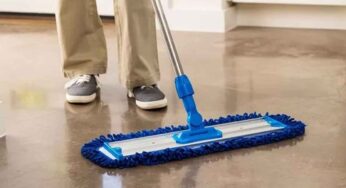 House Cleaning Tips : ఇంటిని తుడిచే నీటిలో దీనిని క‌ల‌పండి.. బొద్దింక‌లు, పురుగులు, క్రిముల బెడద ఉండ‌దు..!