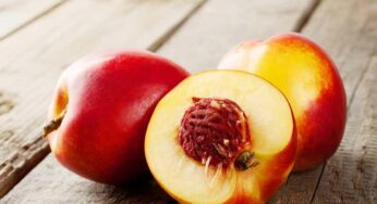 Nectarines : ఈ పండు ఒక్క‌టి తింటే చాలు.. ఏం జరుగుతుందో తెలిస్తే ఆశ్చ‌ర్య‌పోతారు..!