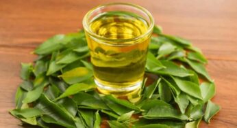 Curry Leaves Water : క‌రివేపాకుల నీళ్ల‌ను ఉద‌యాన్నే తాగితే చెప్ప‌లేన‌న్ని లాభాలు.. నీటిని ఇలా త‌యారు చేయండి..!