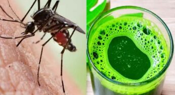 Ayurvedic Treatment for Dengue Fever : డెంగ్యూ వ‌చ్చిన వాళ్ల‌కు ఈ ర‌సం వ‌రం లాంటిది..!