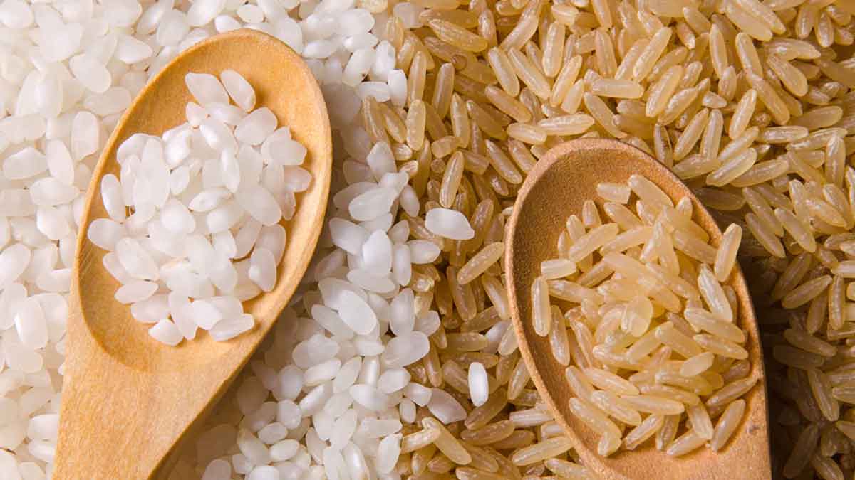 brown rice vs white rice which one is healthier 