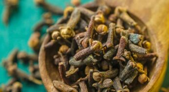 Cloves For Men : పురుషుల‌కు ఎంతో మేలు చేసే ల‌వంగాలు.. రాత్రి నిద్ర‌కు ముందు తినాలి..