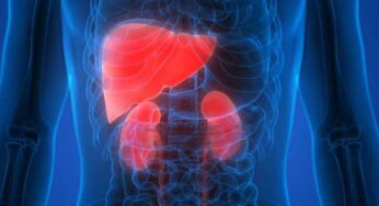 Kidney And Liver : రోజూ ఉద‌యం ఇలా చేస్తే చాలు.. మీ కిడ్నీలు, లివ‌ర్ క్లీన్‌గా ఉంటాయి..!