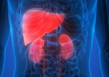 Kidney And Liver : రోజూ ఉద‌యం ఇలా చేస్తే చాలు.. మీ కిడ్నీలు, లివ‌ర్ క్లీన్‌గా ఉంటాయి..!