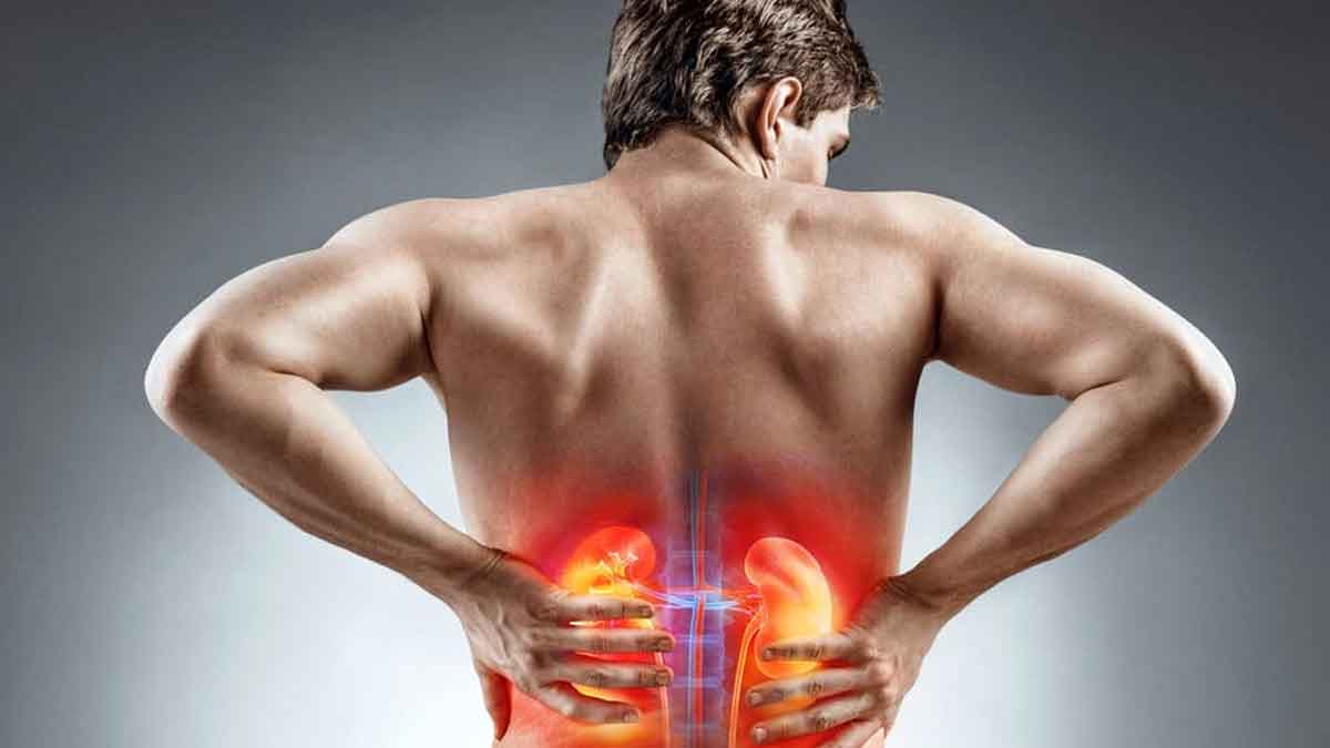 if your kidneys are damaged then your body will show these 10 signs 