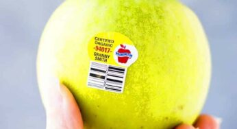 Stickers On Fruits : యాపిల్ లేదా నారింజ.. ఈ పండ్ల‌పై ఉండే స్టిక్క‌ర్‌ల మీది నంబ‌ర్ల‌కు అర్థం ఏమిటో తెలుసా..?