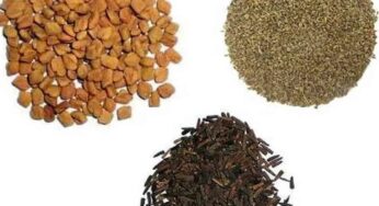 Fenugreek Ajwain Black Cumin : మ‌న‌కు వ‌చ్చే 80 శాతం ఆరోగ్య స‌మ‌స్య‌ల‌కు స‌ర్వ‌రోగ నివారిణి ఇది..!