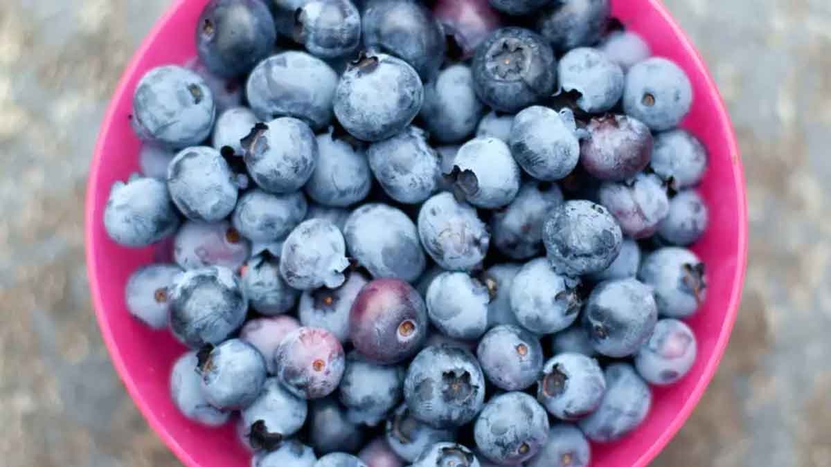 take daily a handful of blueberries for brain health 