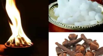 Harati : క‌ర్పూరం, ల‌వంగాల‌తో ఇలా హార‌తి ఇవ్వండి చాలు.. ఐశ్వ‌ర్య‌వంతులు అవుతారు..!