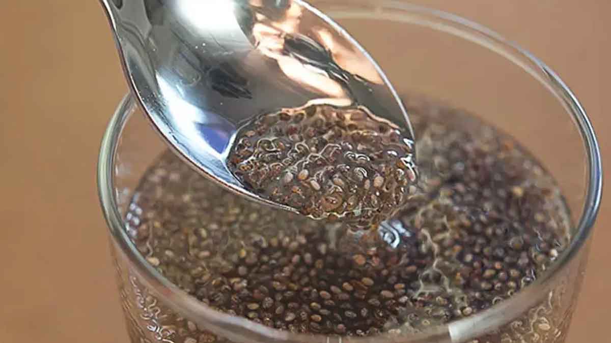 taking chia seeds daily can melt fat in body 