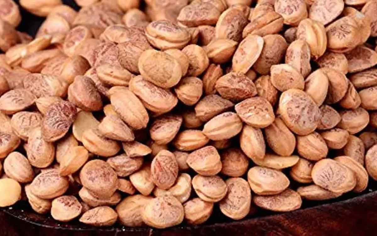 Chironji Seeds do you know these what are the benefits 