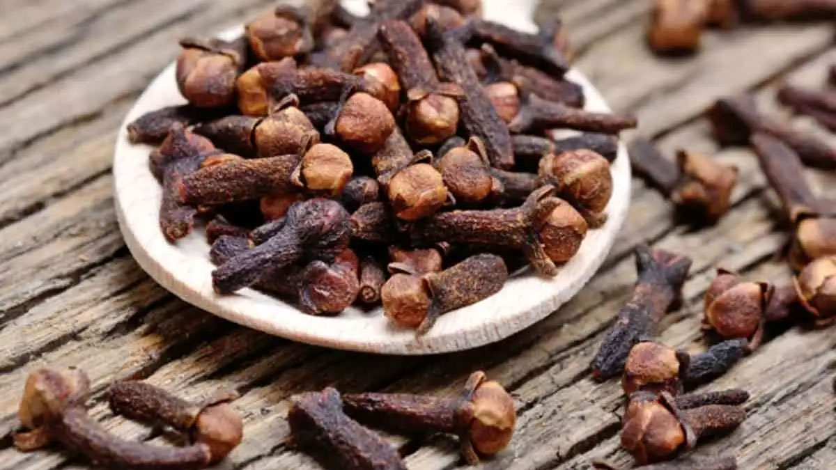 daily one clove is very beneficial to us 