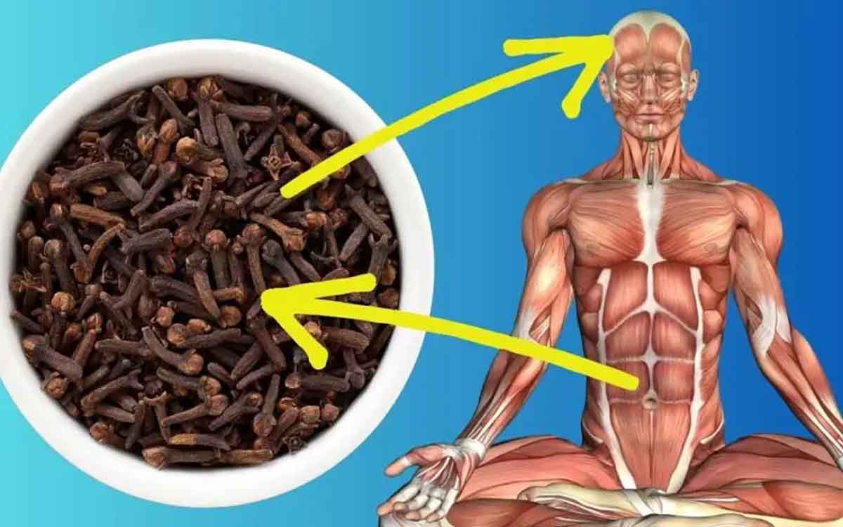 cloves on empty stomach what happens to your body 