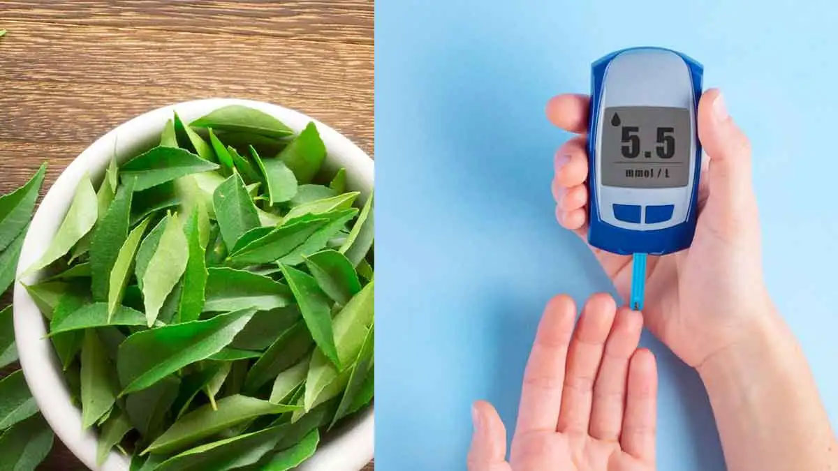 take curry leaves in this way to control diabetes 