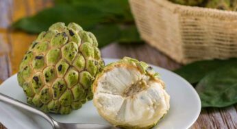 Custard Apple : షుగర్ వున్నవాళ్లు సీతాఫలం తీసుకోవచ్చా..? తీసుకుంటే ఏమైనా సమస్య కలుగుతుందా..?