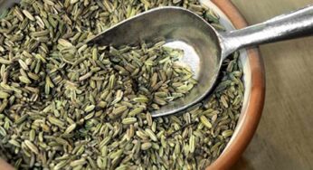 Fennel Seeds : రోజూ భోజ‌నం చేశాక ఒక స్పూన్ సోంపు గింజ‌ల‌ను తినండి.. ఎందుకంటే..?