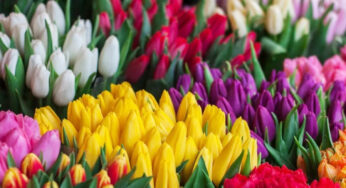 Flowers For Pooja : ఈ పువ్వులు అస‌లు పూజ‌ల‌కు ప‌నికిరావు.. వీటిని వాడ‌కండి..!