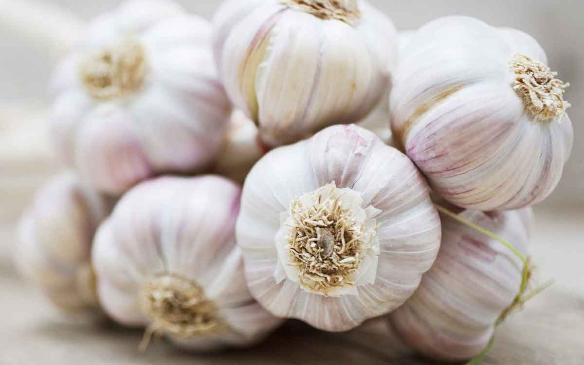 how to take garlic 