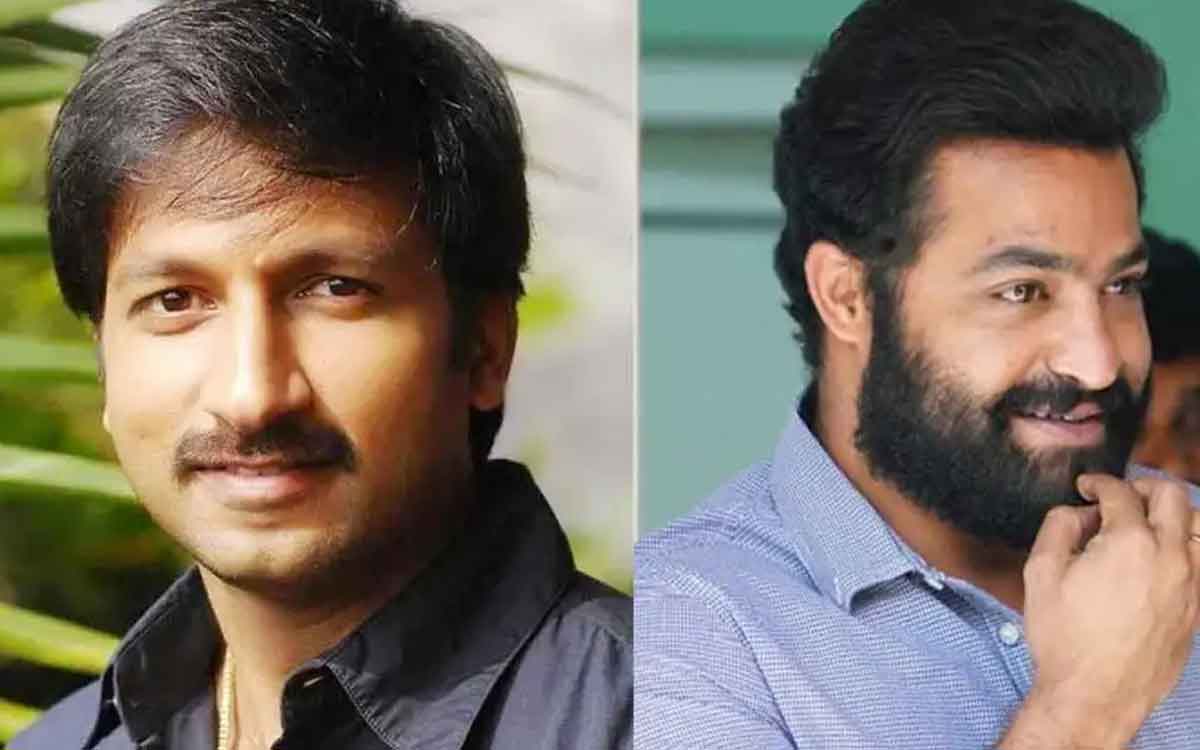 gopichand and ntr did same movies 