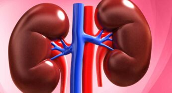 Kidneys Clean : కిడ్నీలని ఇలా సులభంగా క్లీన్ చేసుకోవచ్చు.. కిడ్నీలు ఆరోగ్యంగా ఉంటాయి..!