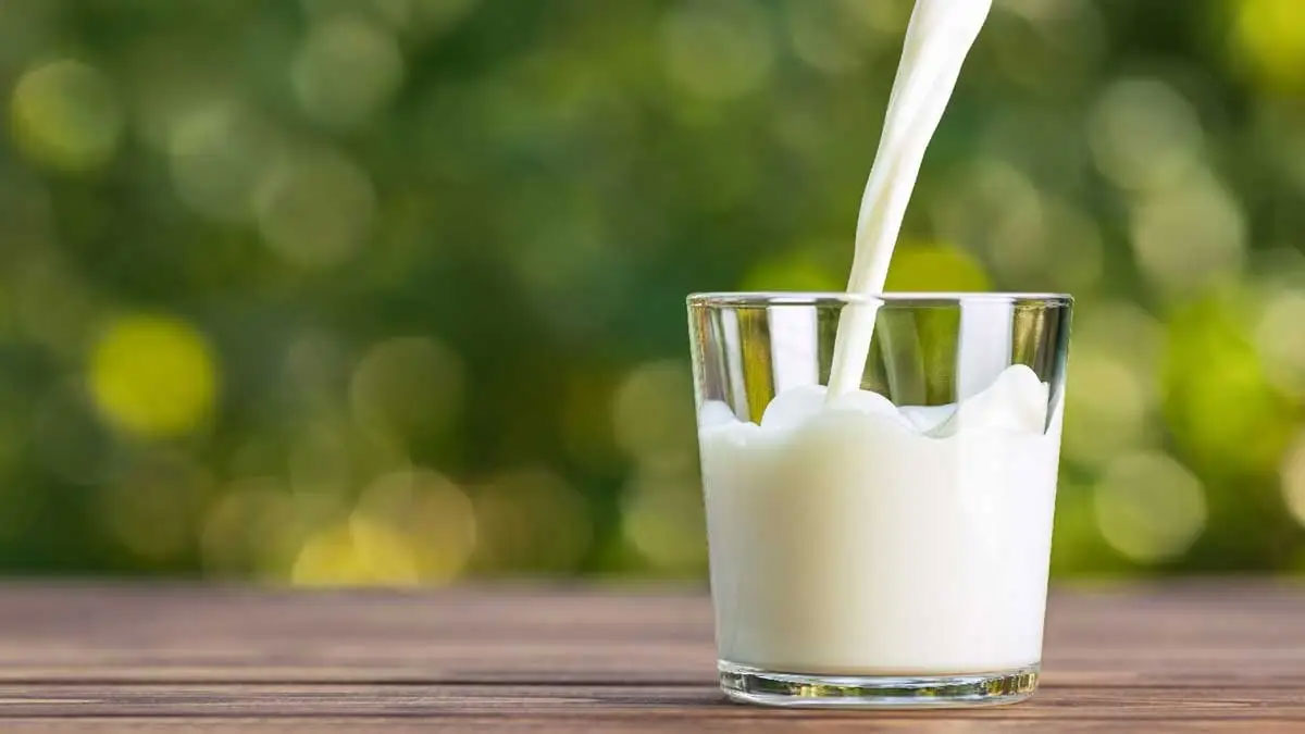 these foods have more calcium than milk 