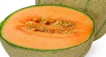 Musk Melon : బీపీని అసలు రానివ్వదు.. రక్తనాళాలను కడిగేస్తుంది..!