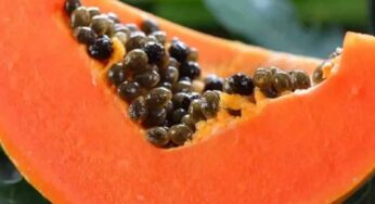 Papaya : ఈ అనారోగ్య స‌మ‌స్య‌లు ఉన్న‌వారు బొప్పాయి పండ్ల‌ను అస‌లు తిన‌రాదు..!