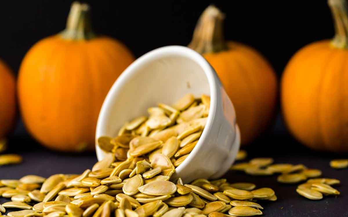 pumpkin seeds daily eating benefits 