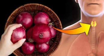 Red Onions For Thyroid : థైరాయిడ్ స‌మ‌స్య‌కు త‌క్ష‌ణ‌మే ప‌రిష్కారం చూపే ఎర్ర ఉల్లిపాయ‌.. ఎలా వాడాలంటే..?