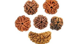 Rudraksha : ఏయే రుద్రాక్ష‌ల‌ను ధ‌రిస్తే ఎలాంటి ఫ‌లితాలు క‌లుగుతాయి ? జ‌న్మ న‌క్ష‌త్రం ప్ర‌కారం ధ‌రించాల్సిన రుద్రాక్ష‌లు ఏమిటి ? తెలుసుకోండి..!