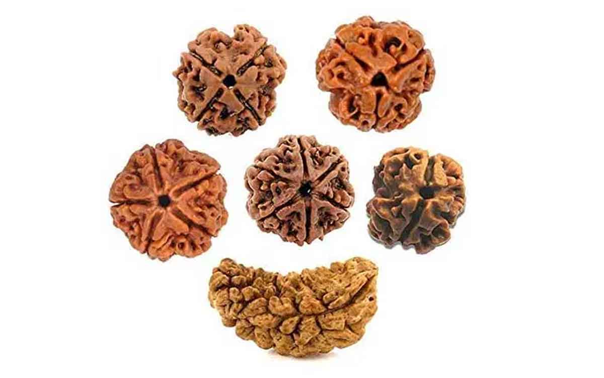 which type of rudraksha has to be wear according to birth star 