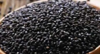 Sabja Seeds : దీన్ని తాగితే.. శ‌రీరంలో ఎంత వేడి ఉన్నా స‌రే.. ఇట్టే త‌గ్గిపోతుంది..!