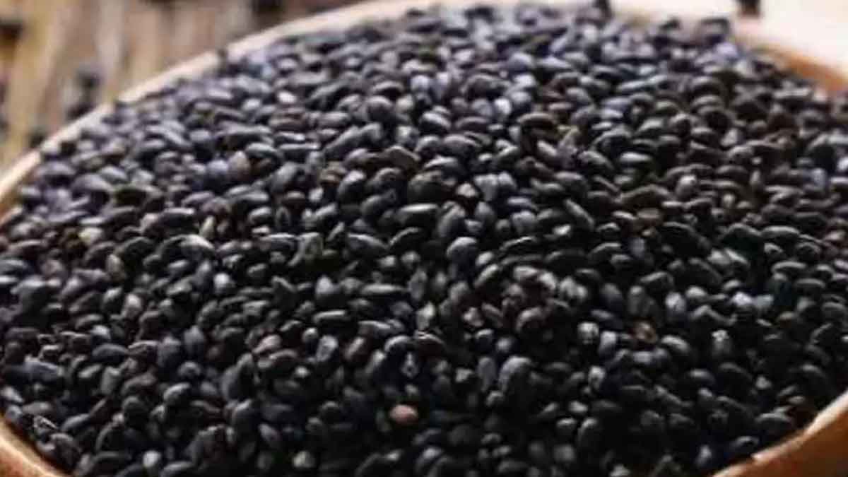 drink sabja seeds water to remove heat from body 