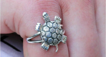 Tortoise Ring : తాబేలు ఉంగ‌రం ధ‌రిస్తే.. ఏం జ‌రుగుతుందో తెలుసా..?