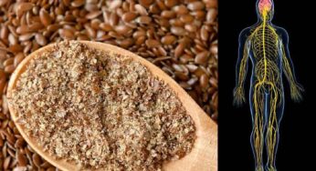 Flax Seeds Powder : రోజూ రాత్రి అర టీస్పూన్ పొడిని పాల‌లో క‌లిపి తాగండి.. న‌రాల బ‌ల‌హీన‌త‌లు ఉండ‌వు..